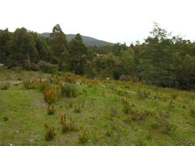0 Esperance Coast Road, Surges Bay