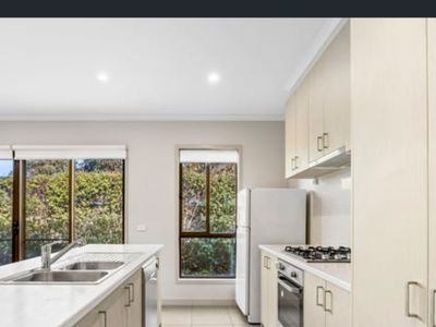 53 Daly Drive, Lucas
