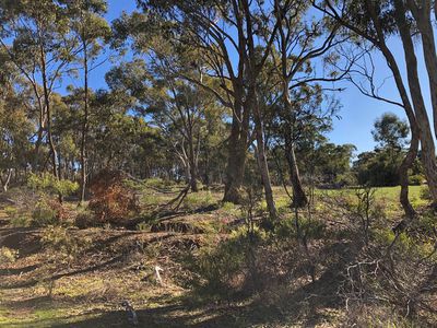 2-20 Godfrey Street, Wedderburn