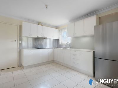 2 Chelsea Drive, Canley Heights