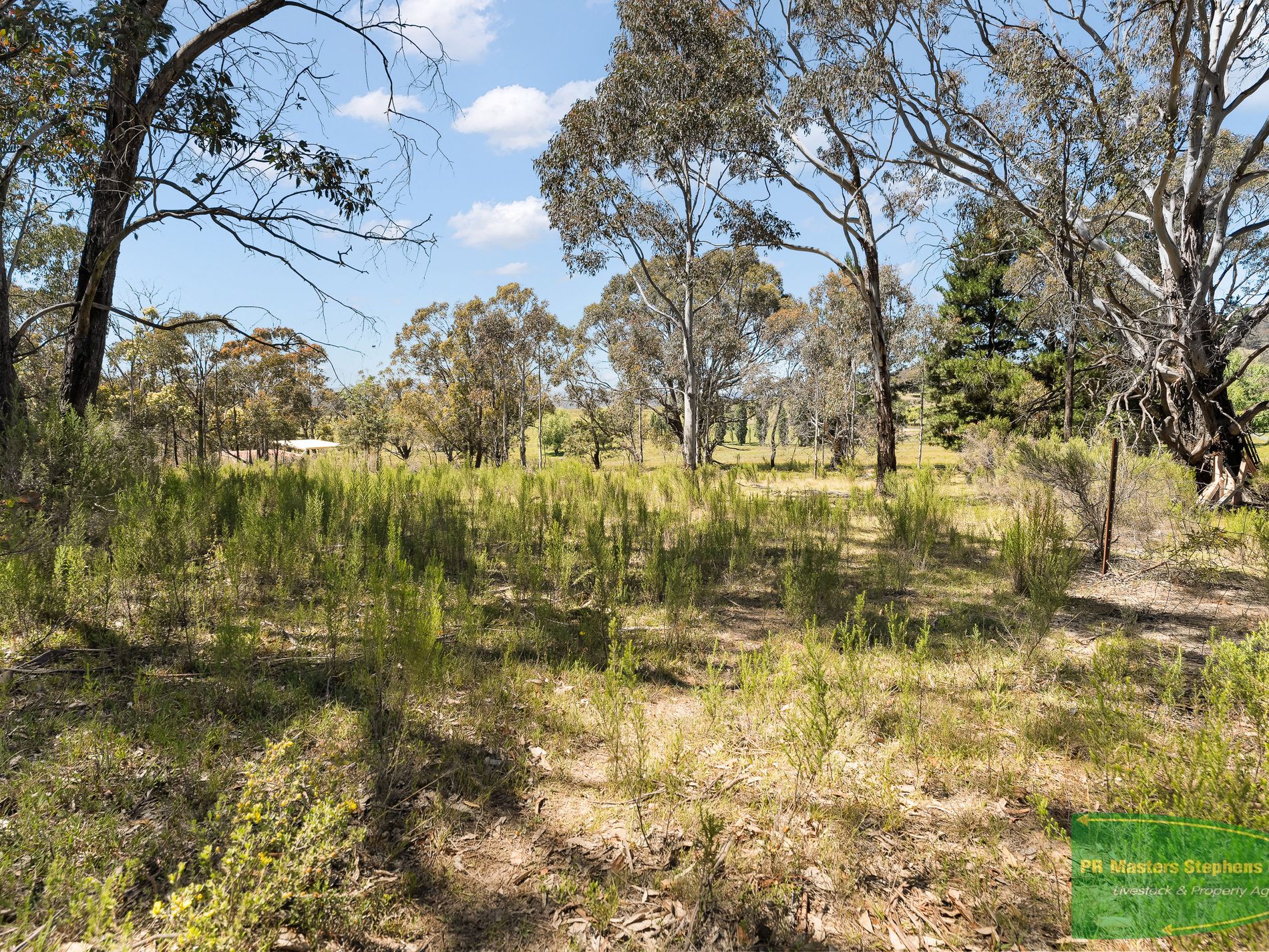 34 Wild Wood Road, Meadow Flat