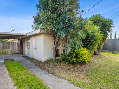38 Wilkinson Street, Hoppers Crossing