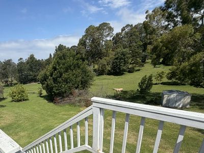 45 Angophora Drive, Mallacoota