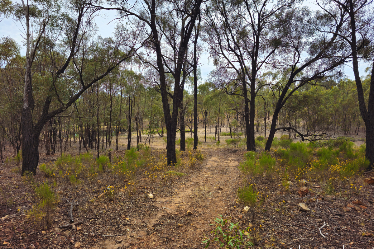 Lot 98 Middle Road, Rushworth