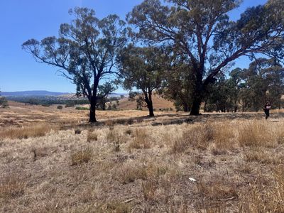 84 Owens Creek Drive, Mansfield