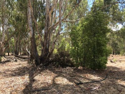 Lot 154, Murrabit Road, Koondrook