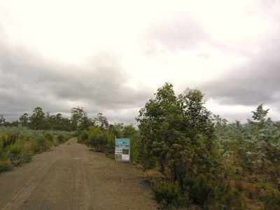 MT / Barrow Road, Nunamara