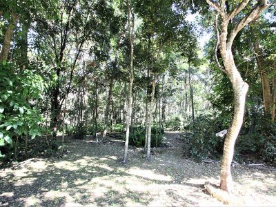 11 Foxwood Crt, Dundowran Beach