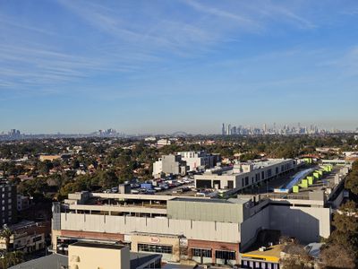 c1301 / 1-17 Elsie Street, Burwood