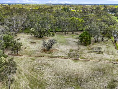 Lot 8, Riddoch Highway, Tarpeena