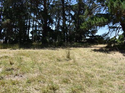 286 St Clair Road, Millicent