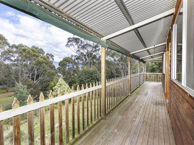 61 Turn Creek Road, Grove