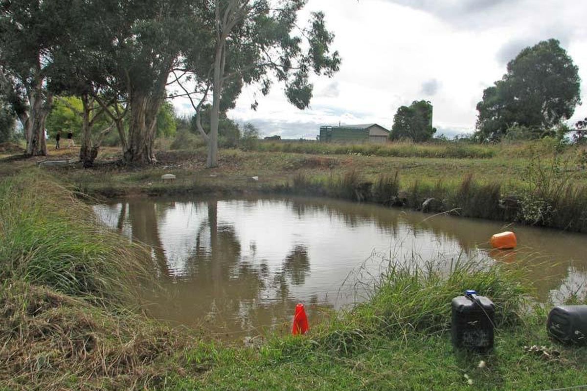 170 Wilson Road, Wyuna