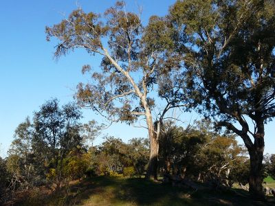 370 Quarry- Dookie Road, Dookie