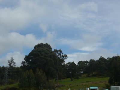 Huon Highway, Port Huon
