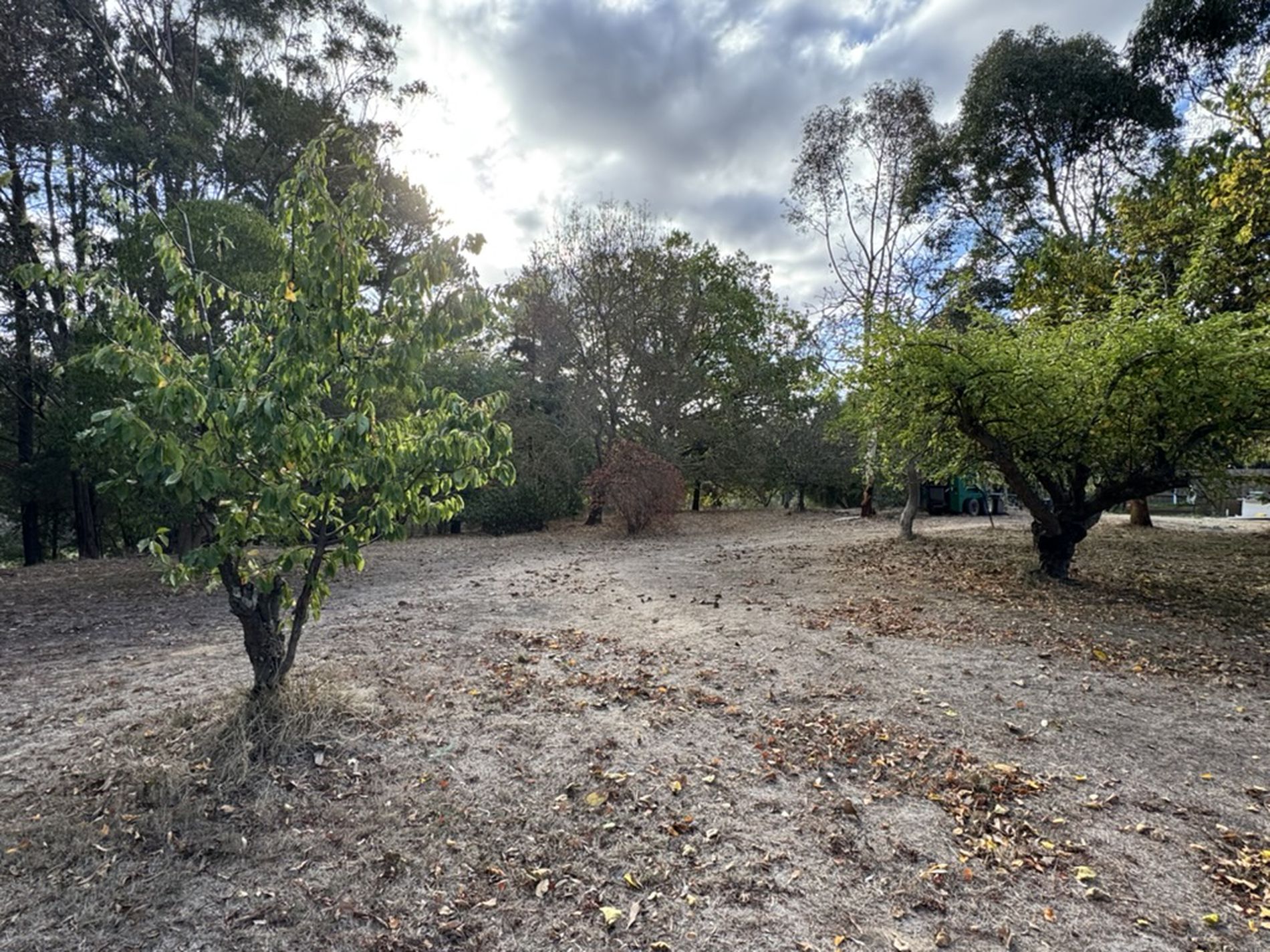 Creswick