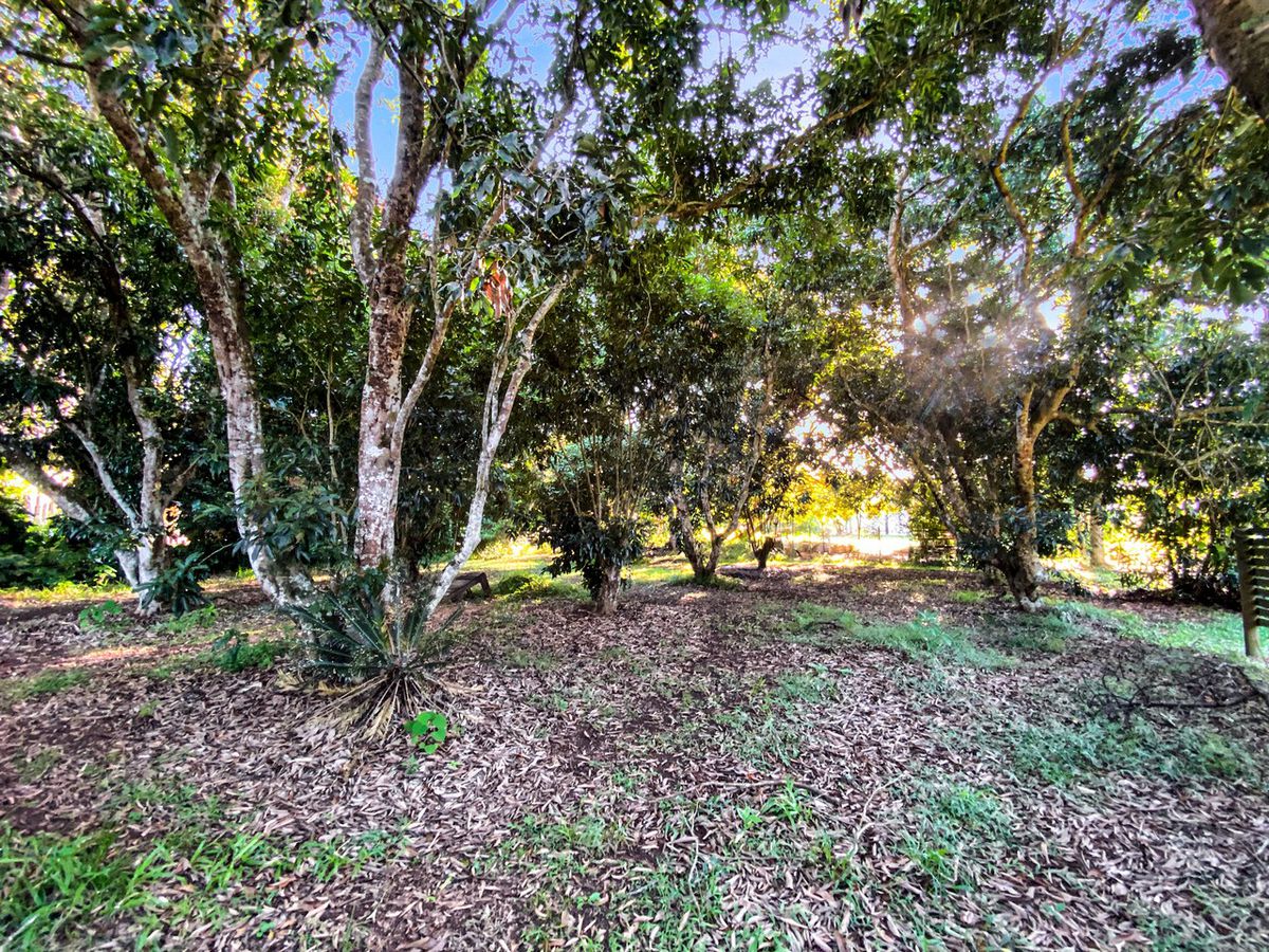 31 Mountain View Drive, Atherton