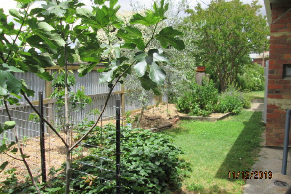 51 Malcolm Street, Mansfield