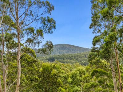 Lot1, Devlyns Road, Birchs Bay