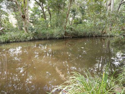 Mareeba