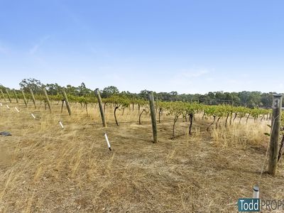 39 Reynolds Court, Graytown