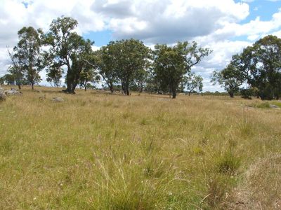 Lot 351, 358 Torrington Road, Stannum
