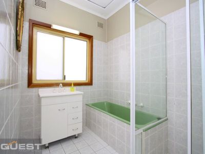 54 Woodbine Street, Yagoona