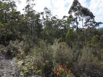 Ra Brittains Road, Garden Island Creek