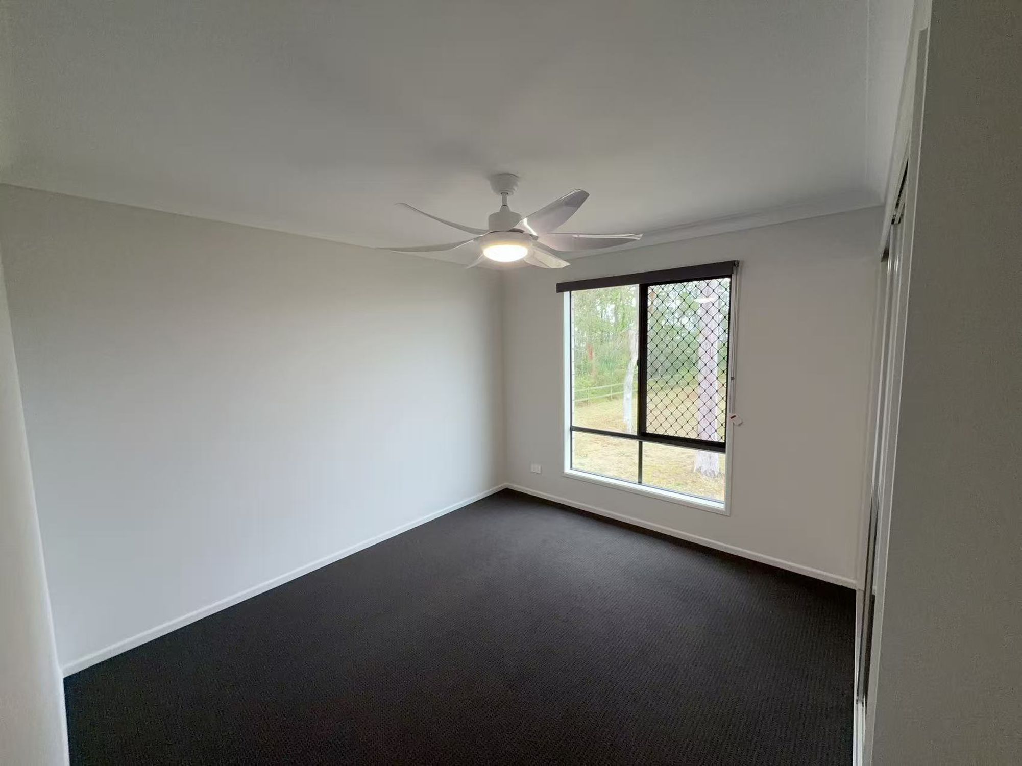 50 Knightsbridge Street, Pallara