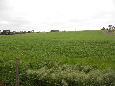 137 Telford Road, Moorak
