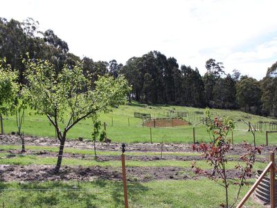 711 Leslie Road, Leslie Vale