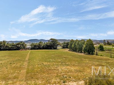 236 Tea Tree Road, Brighton