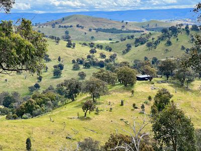 621 U T Creek Road, Alexandra