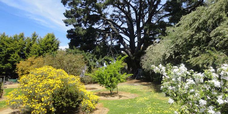 6 Creamery Road, Ruffy