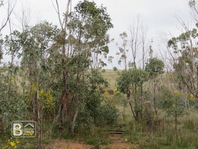 Lot 5, Old St Arnaud Road, Berrimal