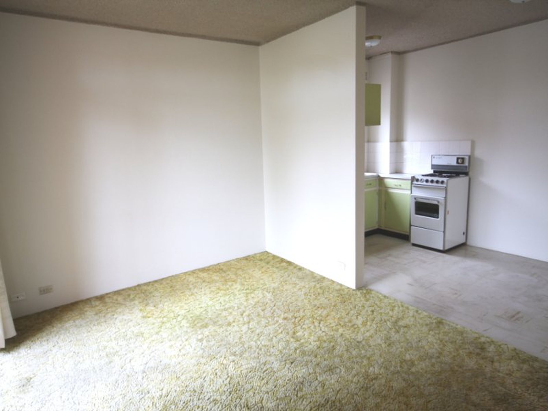 1 / 2 Hayden Place, Botany