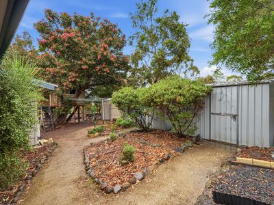 438 Carlton River Road, Carlton River