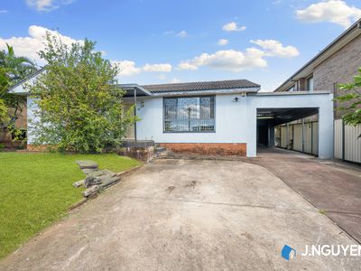16 Mckibbin Street, Canley Heights