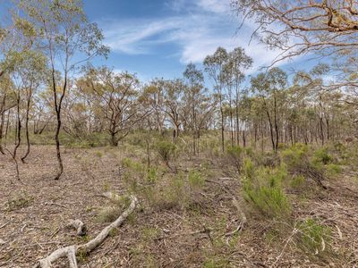 135 Chamberlain Road, Cornella
