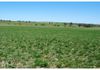 2472 Banjo Paterson Way, Cumnock