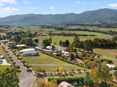 2 Fiddleback Drive, Tawonga South