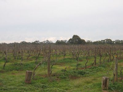 CA 13C SHORTS LANE, Heathcote