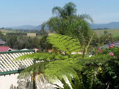 39 Brindabella Drive, Horsley