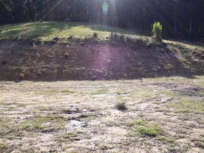 Glen Huon