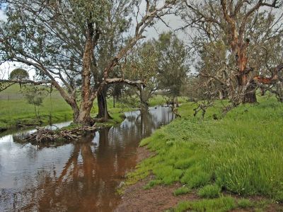 606 Telegraph Road, Toodyay