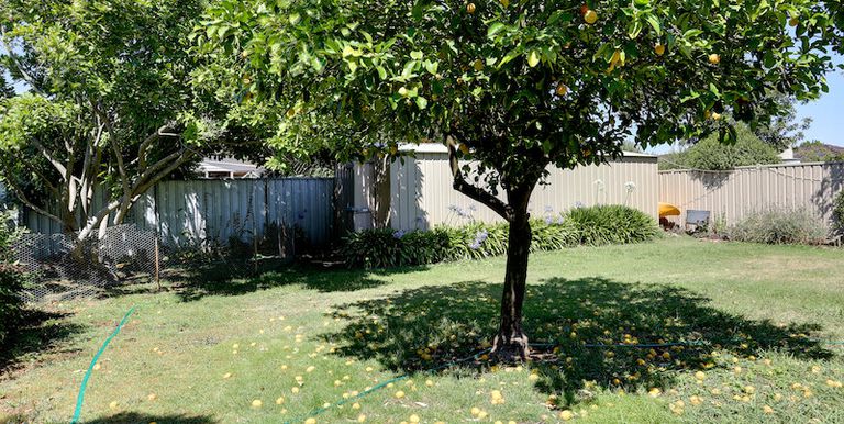 14 Pleasance Ave, Euroa