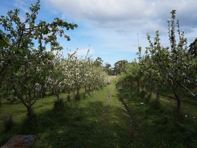 270 Cygnet Coast Road, Lymington