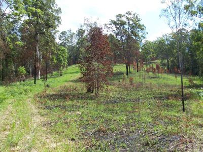 Maleny