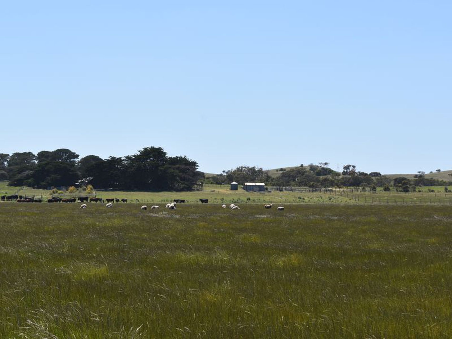 1404 Canunda Frontage Road, Millicent