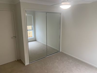 5 Westringia Court, Logan Reserve